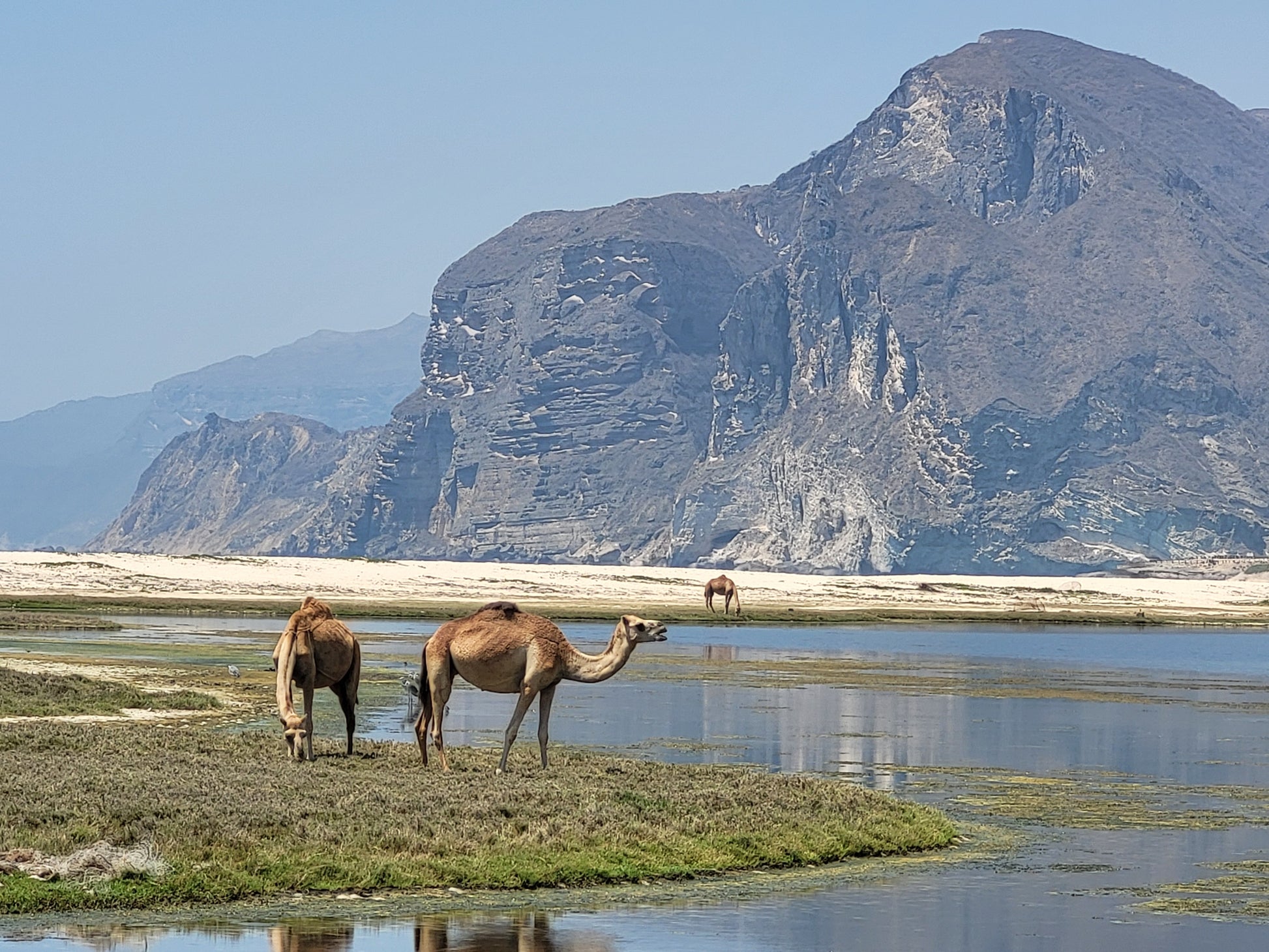 Masirah Island Oman